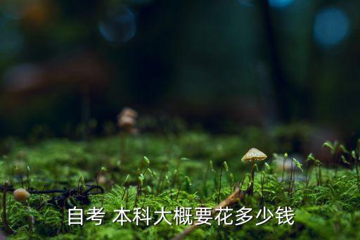 自考 本科大概要花多少錢