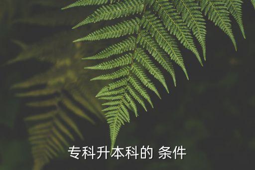 專(zhuān)科升本科的 條件