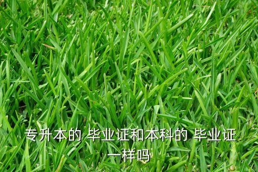 專升本的 畢業(yè)證和本科的 畢業(yè)證一樣嗎