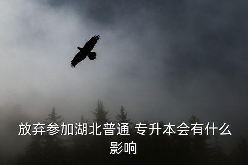 放棄專升本考試聲明,自愿放棄專升本考試申請(qǐng)書
