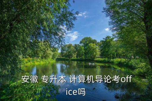  安徽 專升本 計算機導論考office嗎