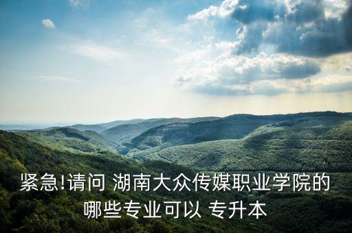 緊急!請(qǐng)問 湖南大眾傳媒職業(yè)學(xué)院的哪些專業(yè)可以 專升本