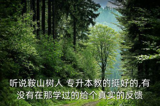 聽說鞍山樹人 專升本教的挺好的,有沒有在那學(xué)過的給個真實(shí)的反饋