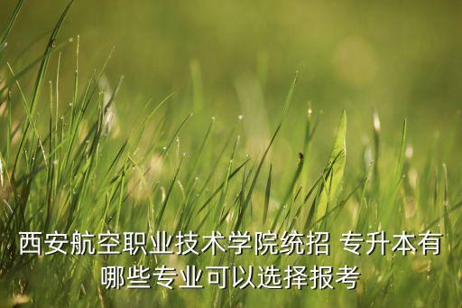 陜西物流管理專升本那個學(xué)校招,山東物流管理專升本可以報考哪些學(xué)校