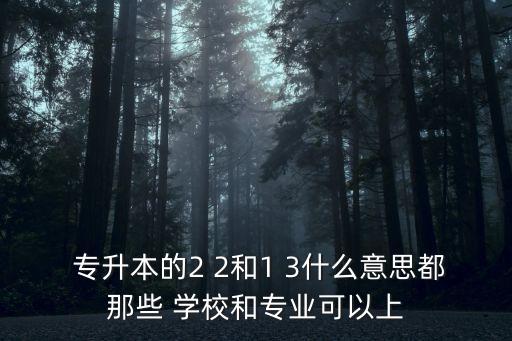  專升本的2 2和1 3什么意思都那些 學校和專業(yè)可以上