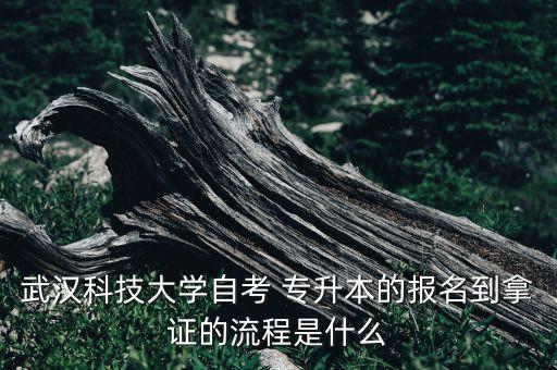 武漢科技大學自考 專升本的報名到拿證的流程是什么