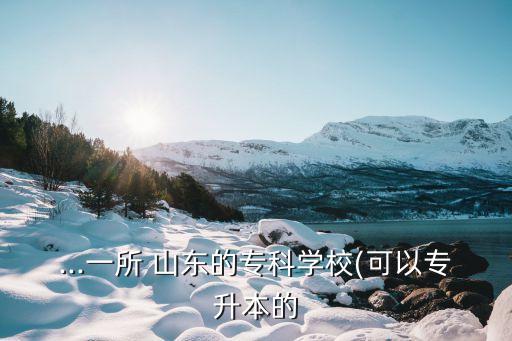 ...一所 山東的?？茖W(xué)校(可以專升本的