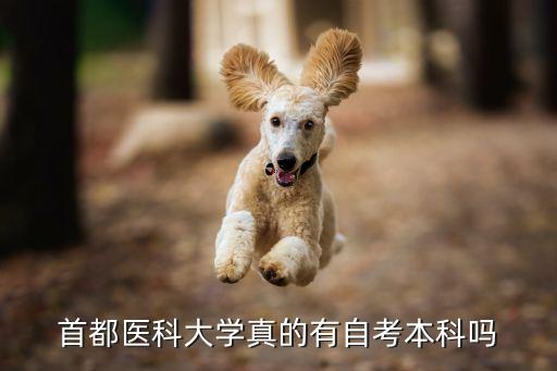 首醫(yī)大專(zhuān)升本是本校嗎