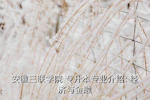 安徽三聯(lián)學(xué)院 專升本專業(yè)介紹: 經(jīng)濟(jì)與金融