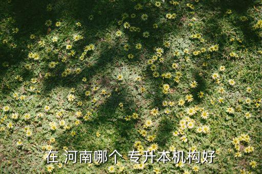 河南耶魯專(zhuān)升本2017