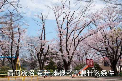 請(qǐng)問(wèn)統(tǒng)招 專升 本報(bào)考需要什么條件