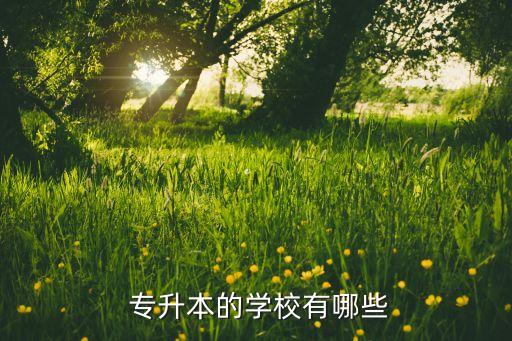 可以專升本的大學(xué)有哪些,專升本的大學(xué)有哪些山東