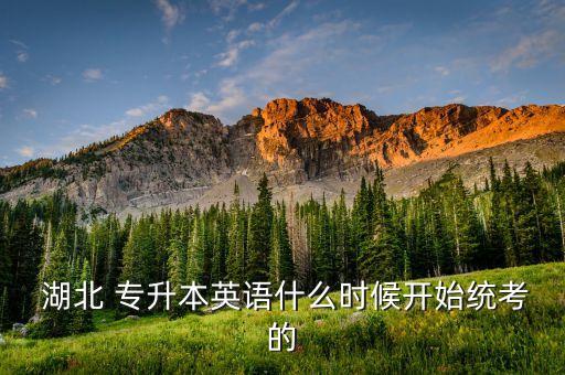  湖北 專(zhuān)升本英語(yǔ)什么時(shí)候開(kāi)始統(tǒng)考的