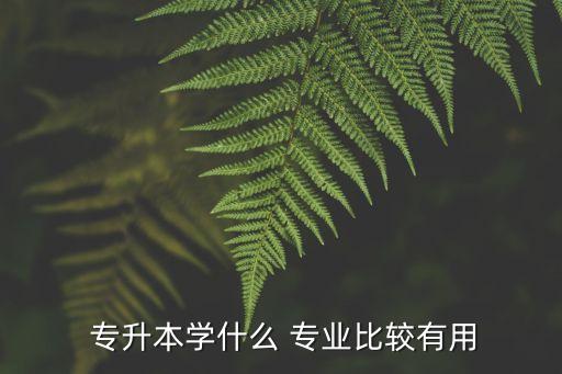 專升本那些專業(yè)好,?？颇切I(yè)不能專升本