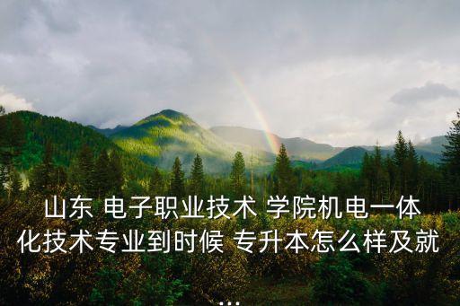  山東 電子職業(yè)技術(shù) 學(xué)院機(jī)電一體化技術(shù)專業(yè)到時候 專升本怎么樣及就...