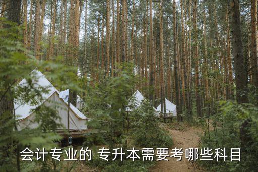 會計專升本財務(wù)管理