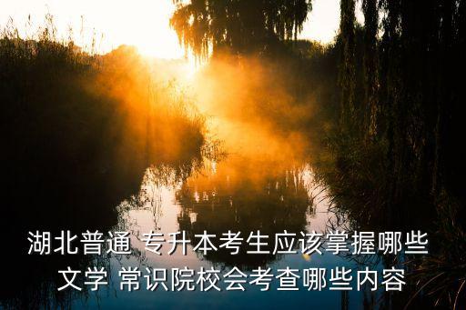湖北普通 專(zhuān)升本考生應(yīng)該掌握哪些 文學(xué) 常識(shí)院校會(huì)考查哪些內(nèi)容