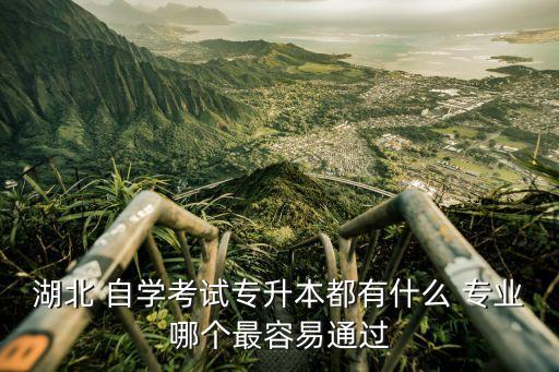 湖北 自學考試專升本都有什么 專業(yè)哪個最容易通過