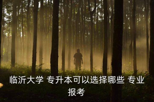 臨沂大學 專升本可以選擇哪些 專業(yè)報考