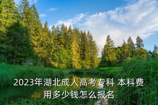2023年湖北成人高考專科 本科費(fèi)用多少錢怎么報名