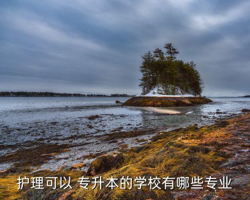 護理可以 專升本的學(xué)校有哪些專業(yè)