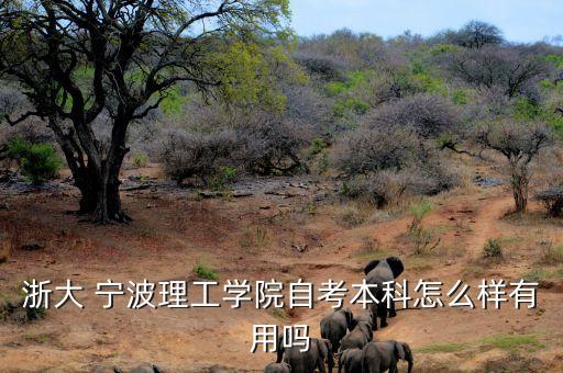 浙大 寧波理工學院自考本科怎么樣有用嗎