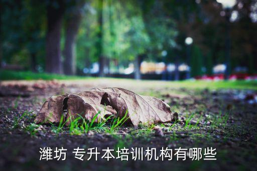 濰坊 專升本培訓機構(gòu)有哪些