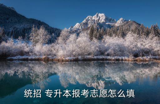 統(tǒng)招 專升本報(bào)考志愿怎么填