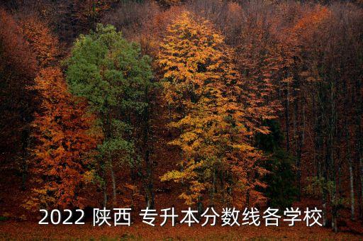 陜西可以專(zhuān)升本的大學(xué),陜西專(zhuān)升本的大學(xué)有哪些學(xué)校