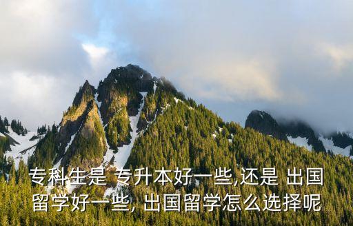 ?？粕?專升本好一些,還是 出國留學(xué)好一些, 出國留學(xué)怎么選擇呢