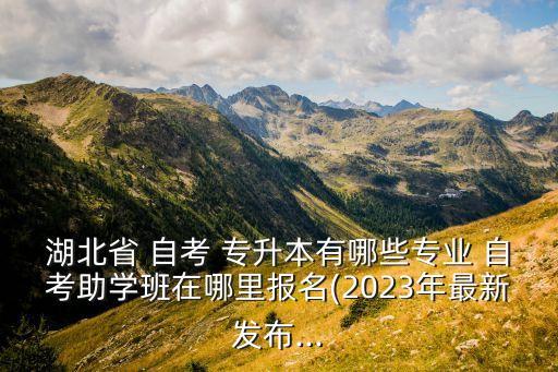 湖北省 自考 專(zhuān)升本有哪些專(zhuān)業(yè) 自考助學(xué)班在哪里報(bào)名(2023年最新發(fā)布...