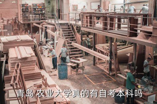 2018年青島農(nóng)業(yè)大學(xué)專(zhuān)升本,青島農(nóng)業(yè)大學(xué)海都學(xué)院專(zhuān)升本分?jǐn)?shù)線(xiàn)