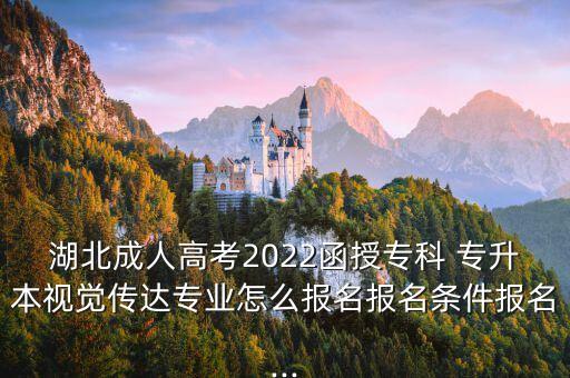 湖北成人高考2022函授?？?專升本視覺傳達(dá)專業(yè)怎么報(bào)名報(bào)名條件報(bào)名...
