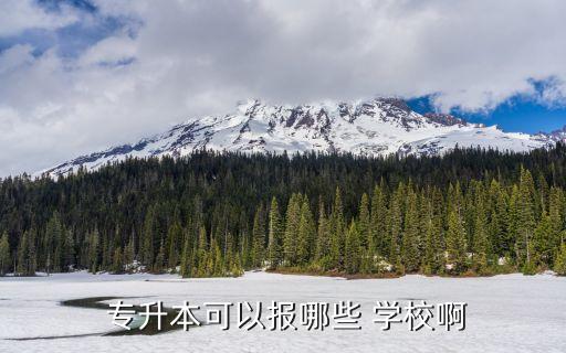  專(zhuān)升本可以報(bào)哪些 學(xué)校啊