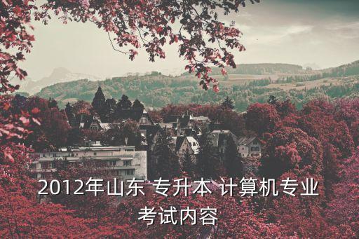 山東省專升本計算機試題,2022年山東專升本計算機試題