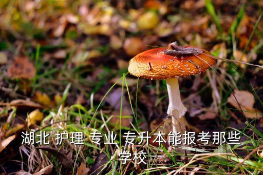 湖北 護理 專業(yè) 專升本能報考那些 學校