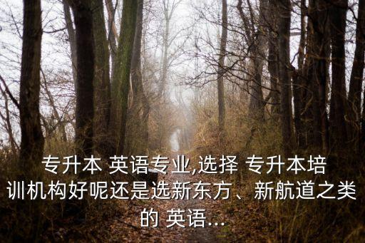  專升本 英語專業(yè),選擇 專升本培訓(xùn)機構(gòu)好呢還是選新東方、新航道之類的 英語...
