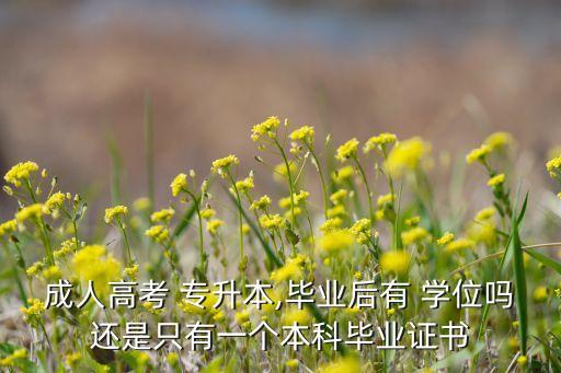 成人高考 專升本,畢業(yè)后有 學位嗎還是只有一個本科畢業(yè)證書