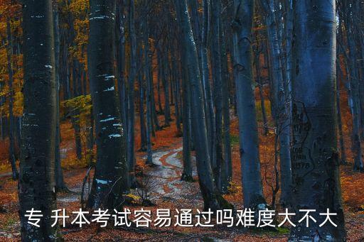 遼師專升本英語(yǔ)好考嗎
