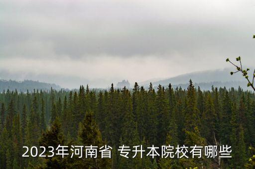 新鄉(xiāng)師范學院能專升本