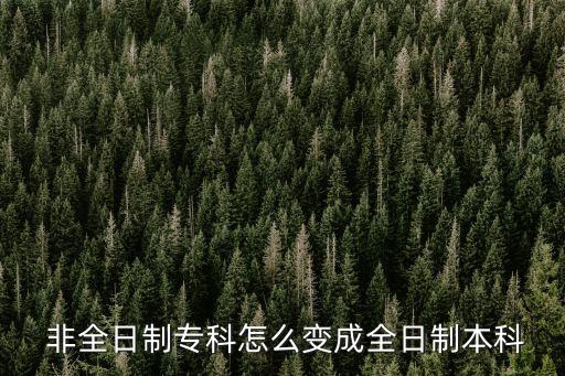  非全日制?？圃趺醋兂扇罩票究? class=