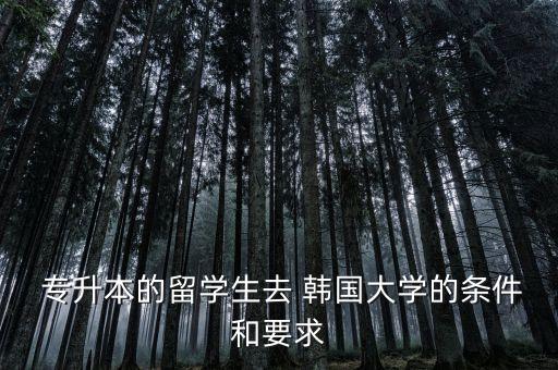  專升本的留學(xué)生去 韓國大學(xué)的條件和要求