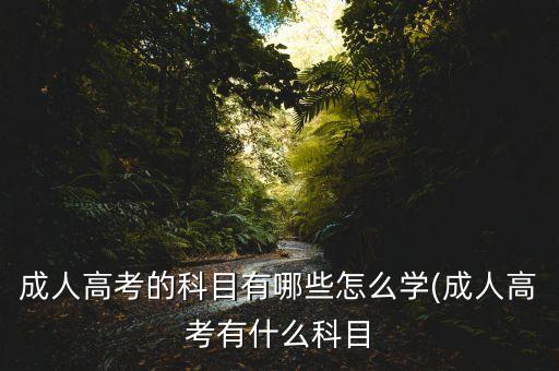 成人高考的科目有哪些怎么學(xué)(成人高考有什么科目