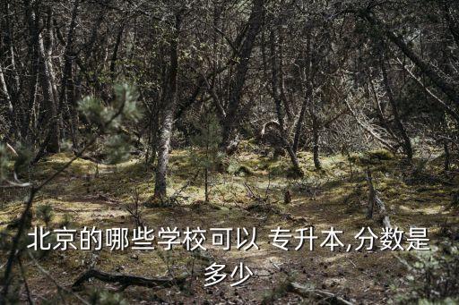 北京的哪些學(xué)?？梢?專升本,分?jǐn)?shù)是多少