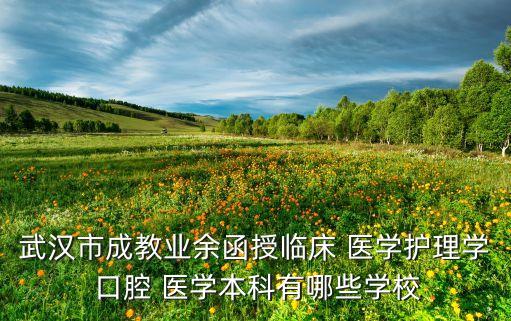 武漢市成教業(yè)余函授臨床 醫(yī)學(xué)護(hù)理學(xué) 口腔 醫(yī)學(xué)本科有哪些學(xué)校