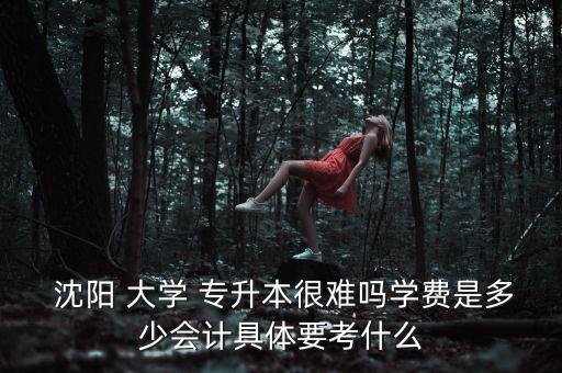 沈陽 大學(xué) 專升本很難嗎學(xué)費是多少會計具體要考什么