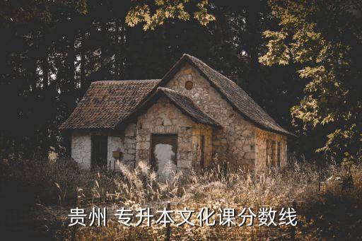  貴州 專升本文化課分?jǐn)?shù)線
