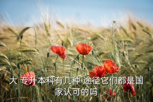 大 專升本科有幾種 途徑它們都是國(guó)家認(rèn)可的嗎