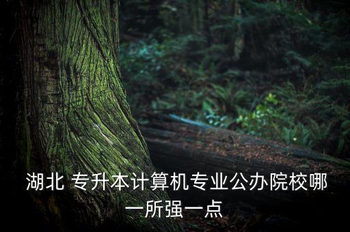  湖北 專(zhuān)升本計(jì)算機(jī)專(zhuān)業(yè)公辦院校哪一所強(qiáng)一點(diǎn)