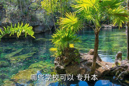 哪些學(xué)校可以 專升本